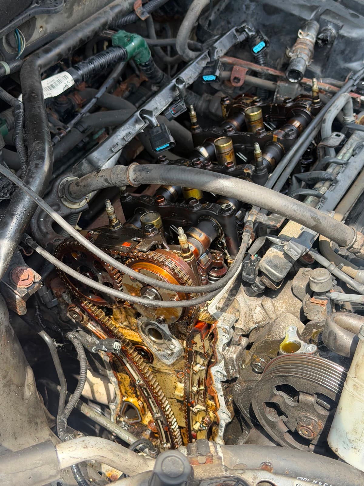 Engine with heavy oil contamination around the timing chain